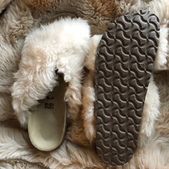 papillio daytona shearling